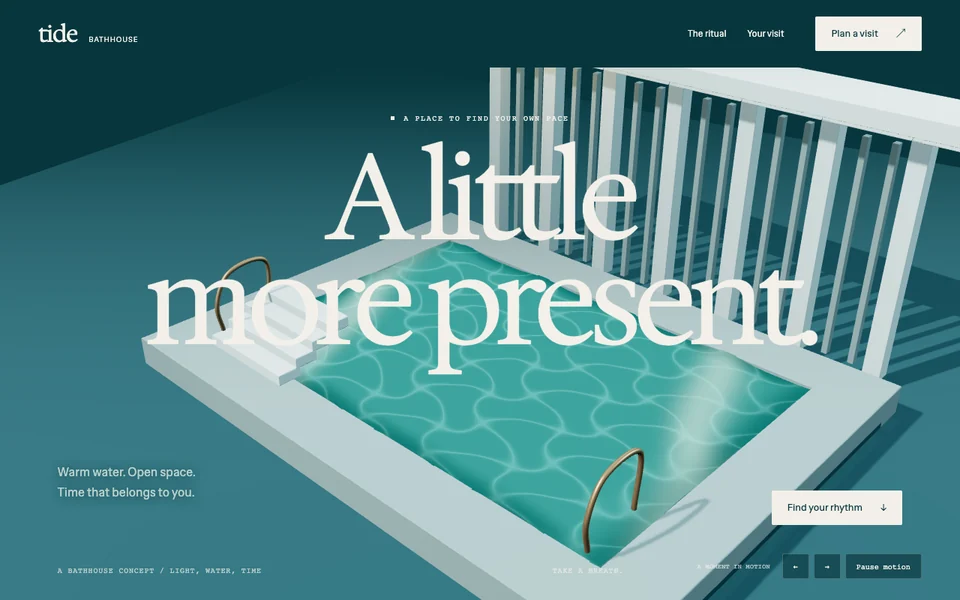 Tide website design concept